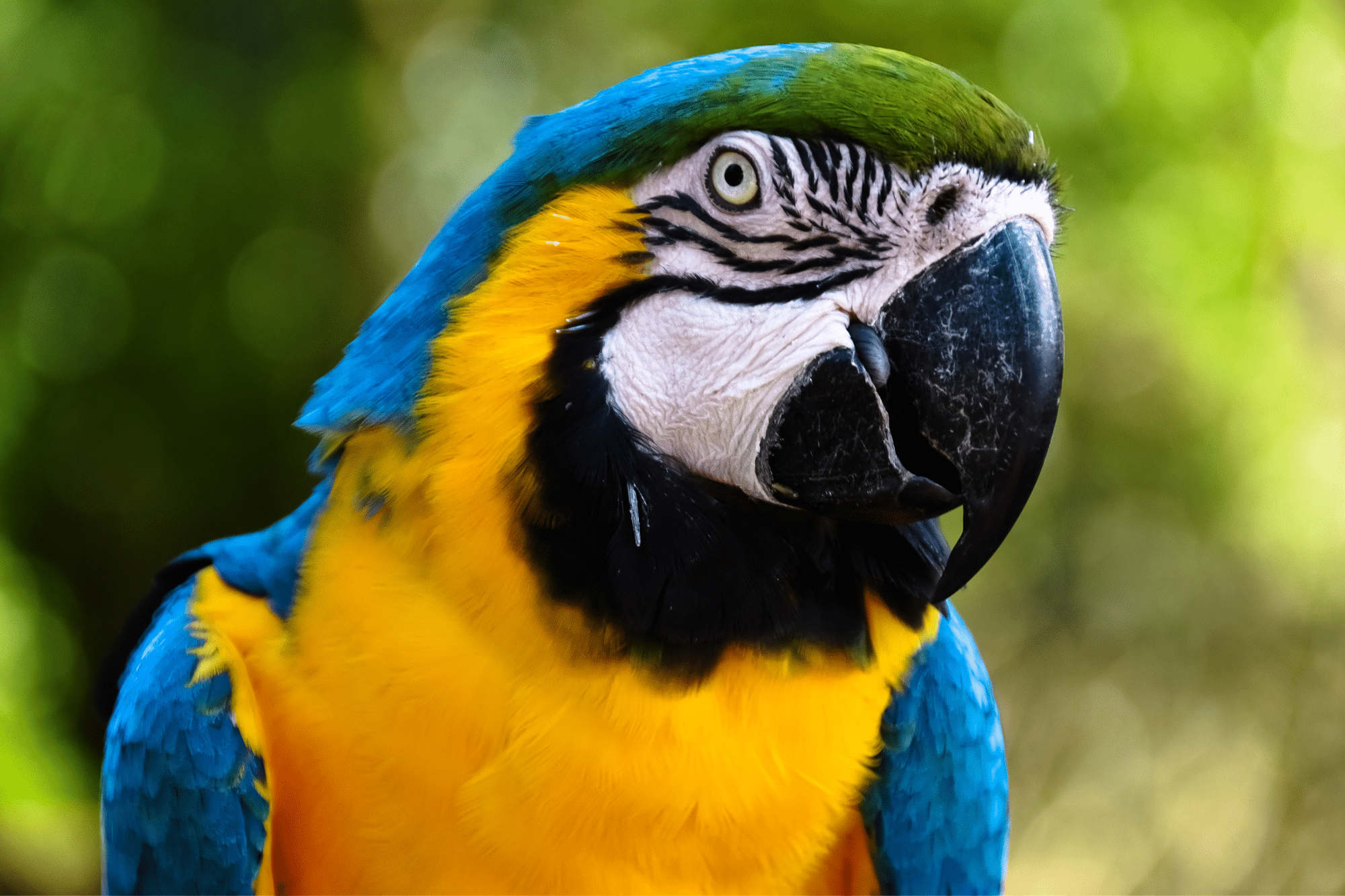 Lampe FLIX Box - Full HD